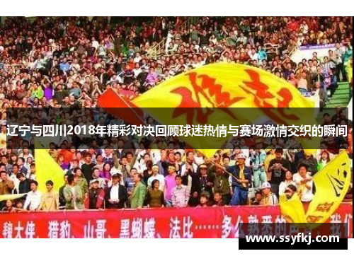辽宁与四川2018年精彩对决回顾球迷热情与赛场激情交织的瞬间 辽宁与四川2018年精彩对决回顾球迷热情与赛场激情交织的瞬间